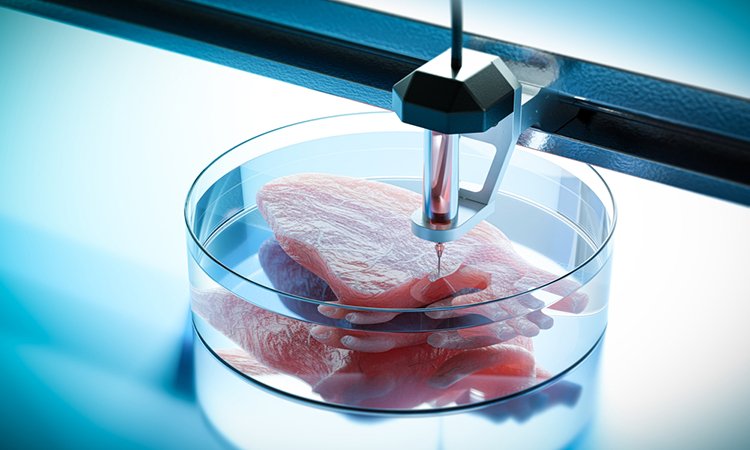 The Cutting Edge of Medicine: Bioprinting Technology